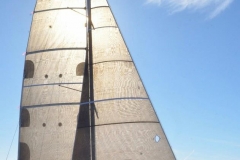 voiles-lin-2